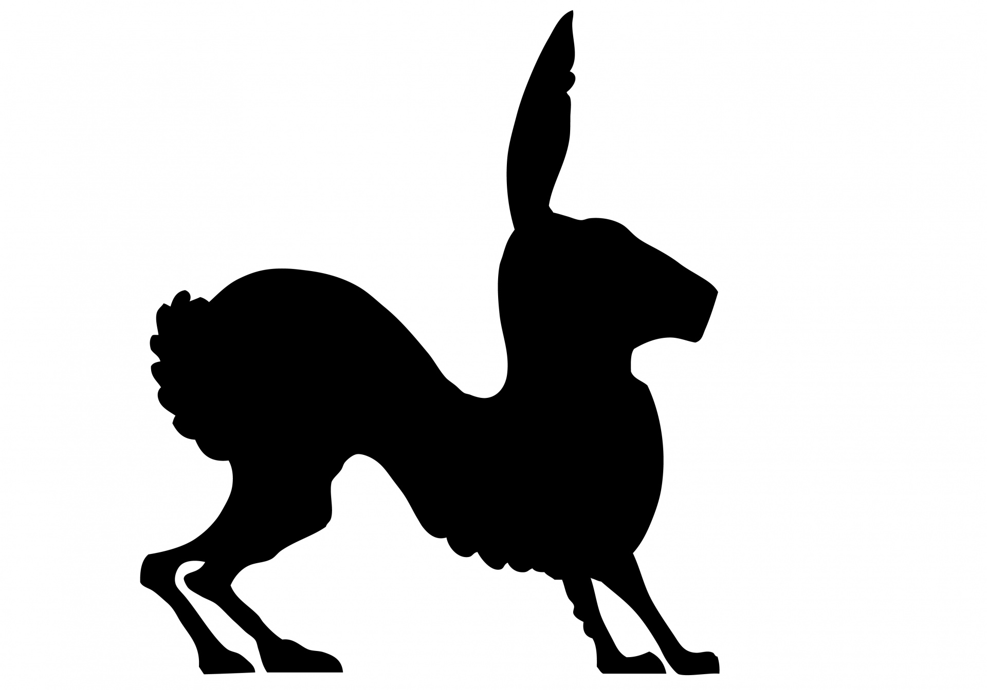 1920x1344 Rabbit Clipart Silhouette Free Stock Photo