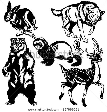 450x470 Top 96 Jackrabbit Clipart