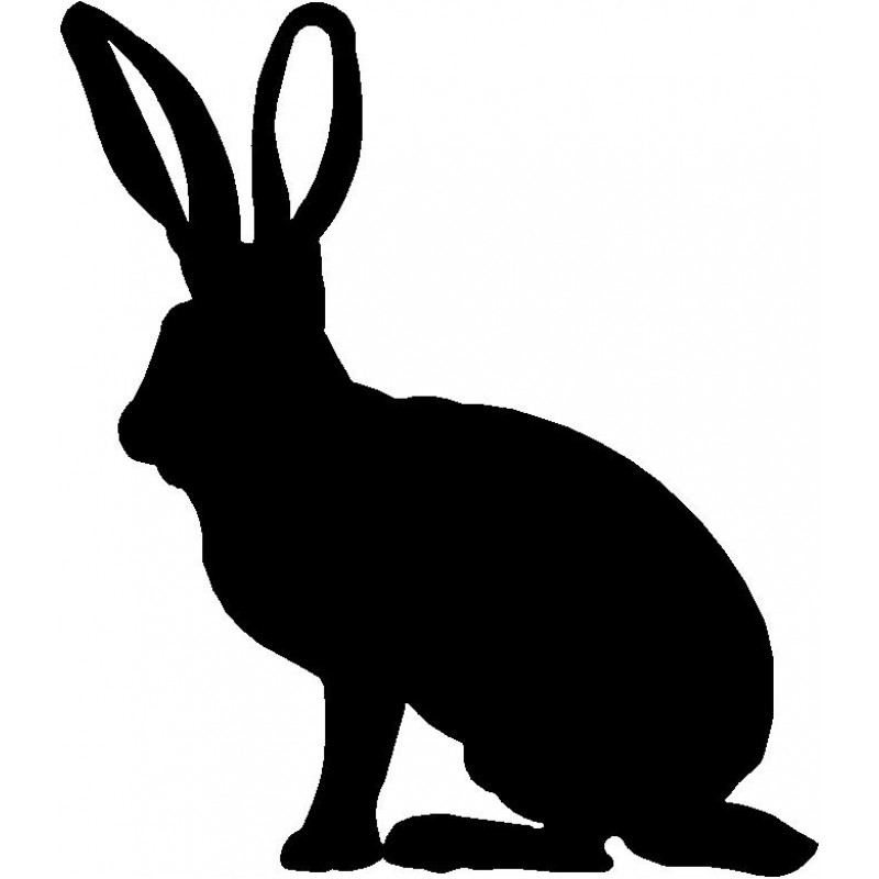 800x800 Top 97 Jackrabbit Clip Art