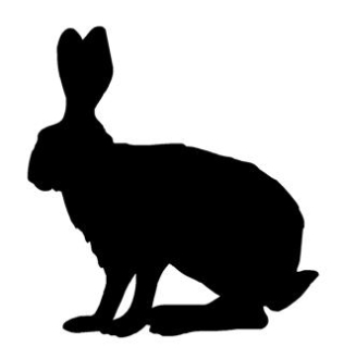316x330 Rabbit Silhouette 3 Decal Sticker