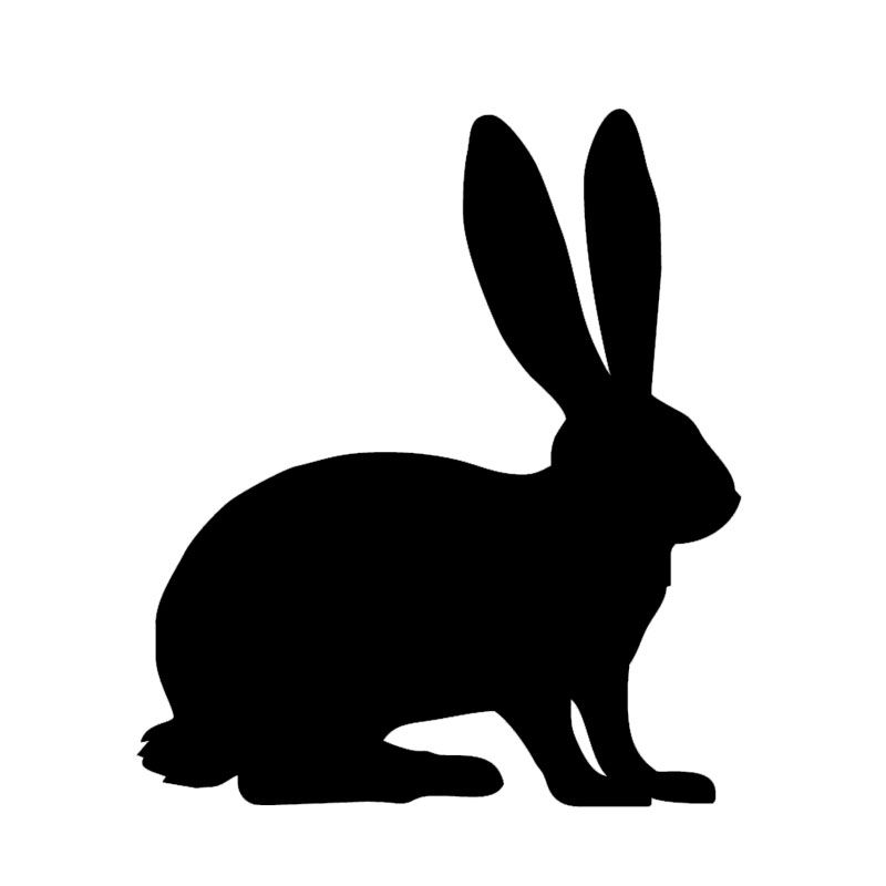 800x800 Font B Rabbit B Font Font B Silhouette B Font Vinyl Car Decal Cute