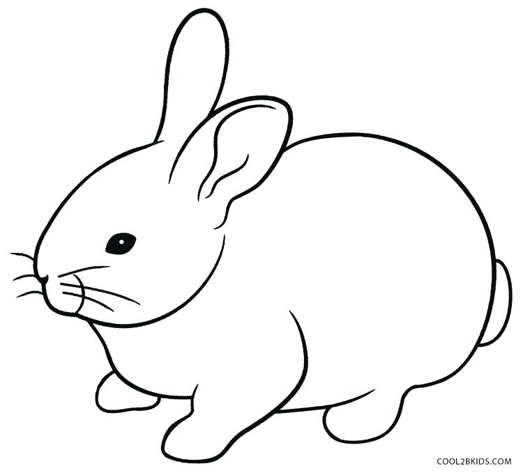 750x679 Rabbit Coloring Pages Free Printable Amazing Rabbit Coloring Page