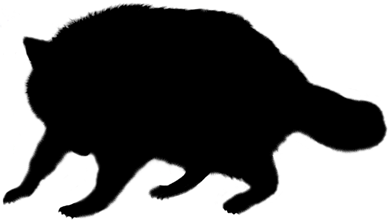 389x221 Crow Sourcing