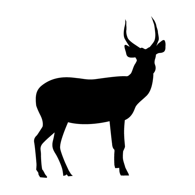 640x640 Deer Animal Silhouette Free Illustrations
