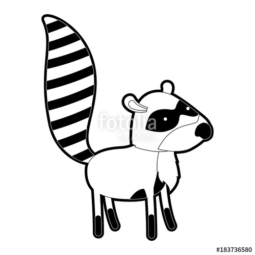 500x500 Raccoon Cartoon With Black Sections Silhouette With Thick Contour