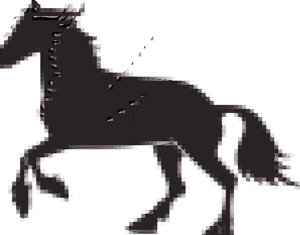 595x466 Racehorse Pixcove