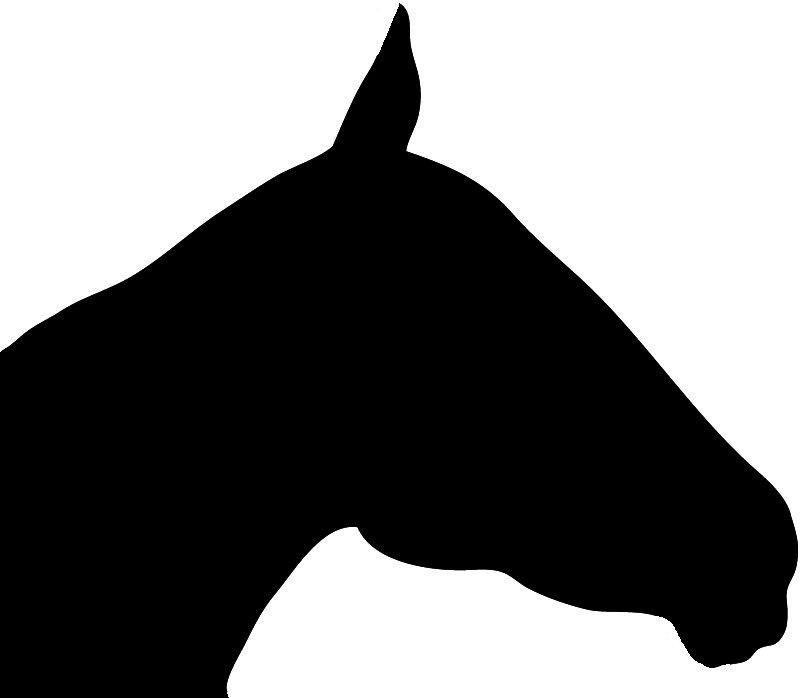 800x698 Head Clipart Race Horse Many Interesting Cliparts
