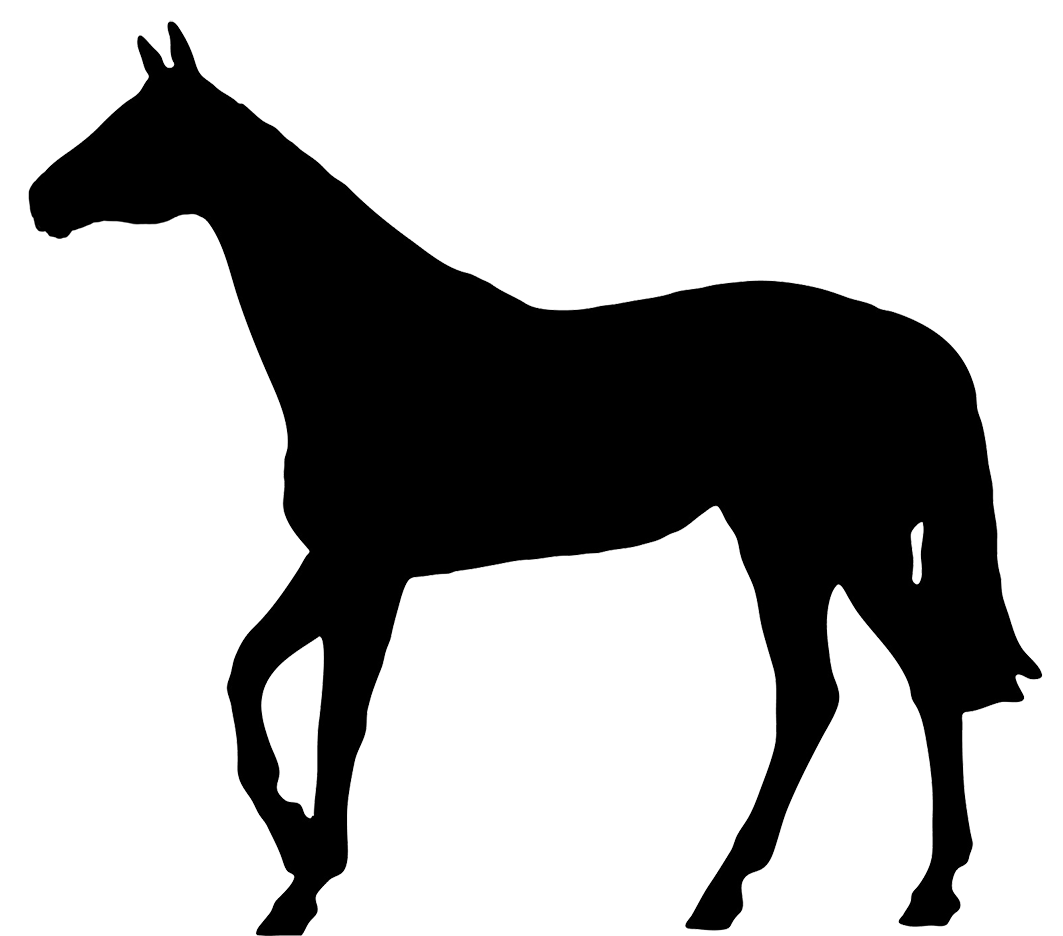 1063x936 Horse Black Silhouette Do's Amp Don'Ts Silhouette