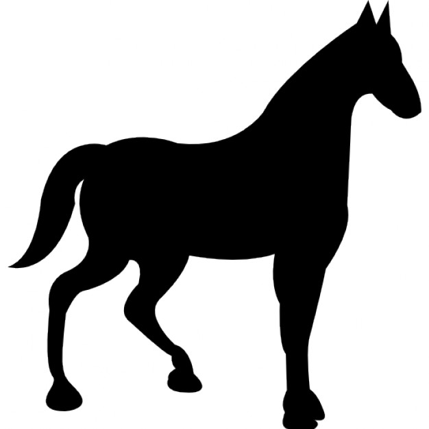 626x626 Race Horse Black Silhouette Icons Free Download