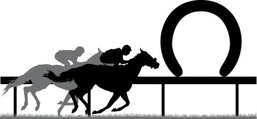 508x236 Updated Every Day For Latest Horse