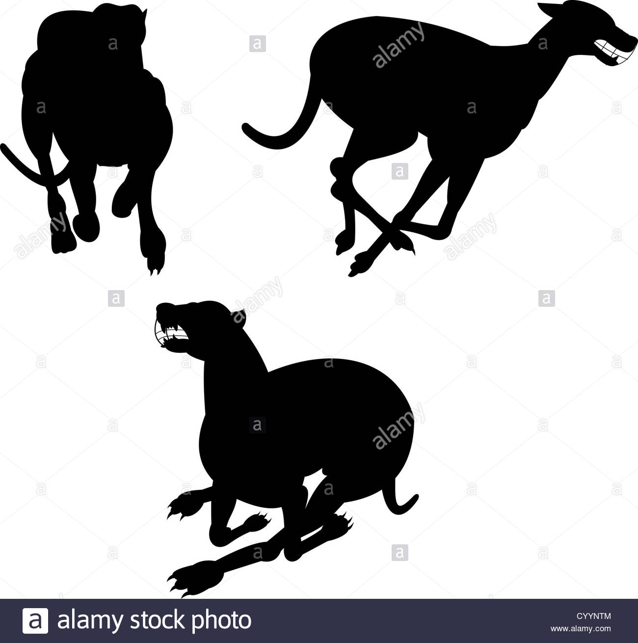 1300x1310 Dog Running Silhouette Cut Out Stock Images Amp Pictures