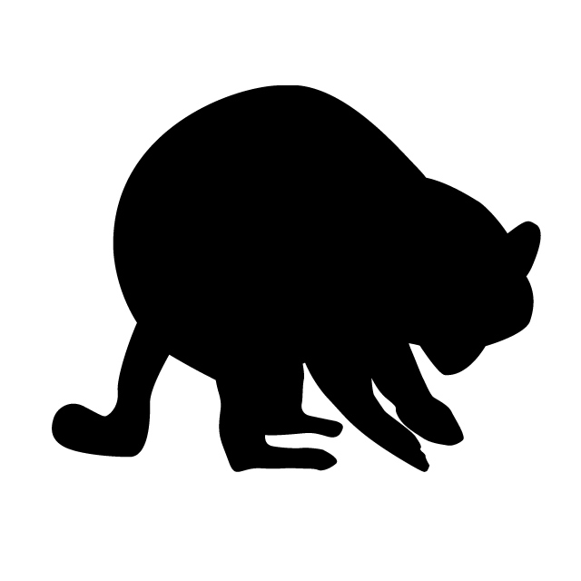 640x640 Raccoon Animal Silhouette Free Illustrations