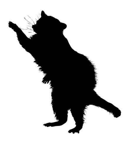 442x480 Image Result For Raccoon Face Silhouette Animal Silhouettes
