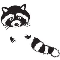 200x200 Mr. Raccoon