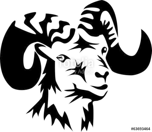 500x433 Head Of Ram Stock Image And Royalty Free Vector Files On Fotolia