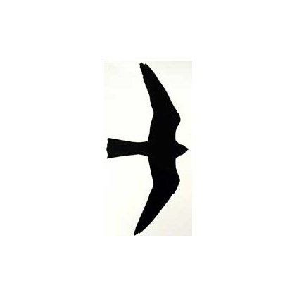 422x422 Silhouette, Adhesive For Windows. Hobby