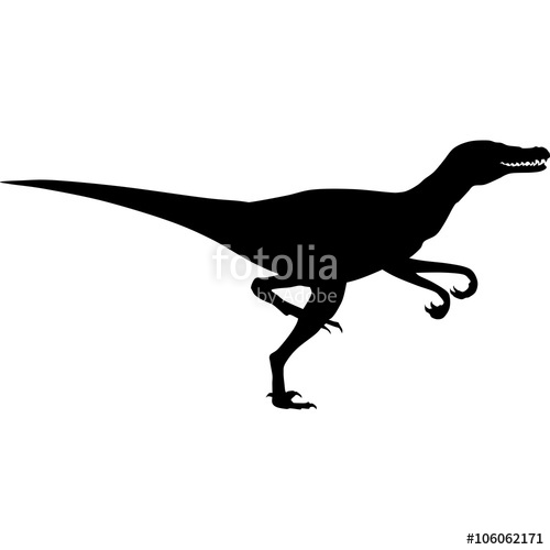 500x500 Raptor Silhouette Stock Image And Royalty Free Vector Files