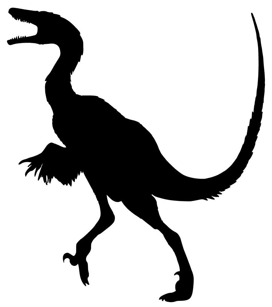 885x1000 Dinosaur Silhouette Black