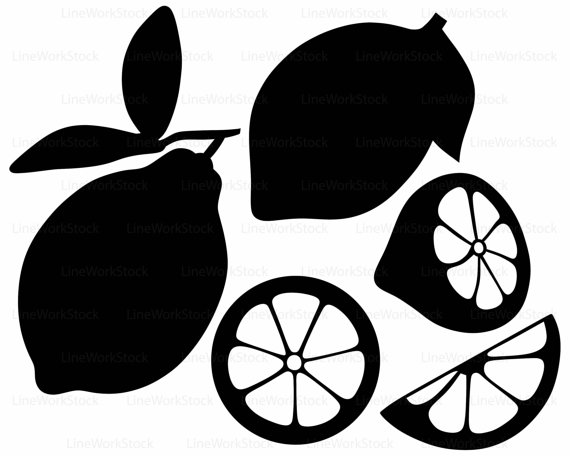 570x456 Lemon Svgclipartfruit Svglemon Silhouettelemon Cricut Cut