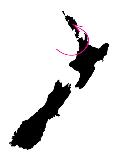 456x640 Maungatapere Berries