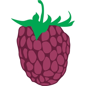 300x300 Silhouette Design Store