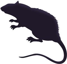 236x226 Rat Silhouette Rodents Rats, Silhouettes And Cricut
