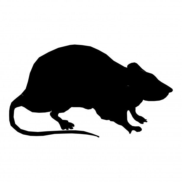 615x615 Silhouette Rat Photos Necklace Photos Rats