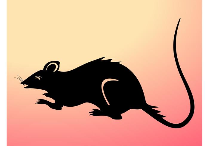 700x490 Rat Silhouette