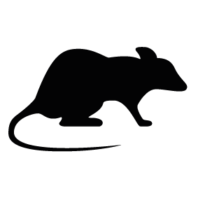 283x283 Rat Silhouette Silhouette Of Rat