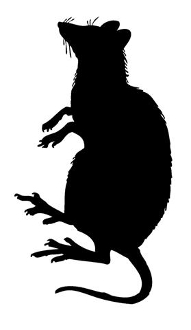 191x330 Rat Silhouette 3 Decal Sticker