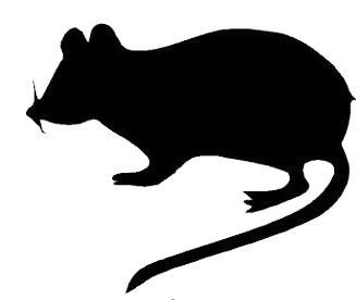 327x276 Rat Silhouette Clip Art Pack Template