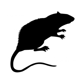 270x270 Rat Silhouette Stencil Free Stencil Gallery