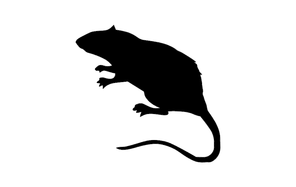 1002x633 Rat Silhouette Dxf File Free Download
