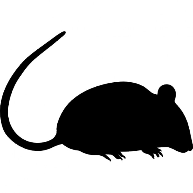 626x626 Rat Silhouette Icons Free Download