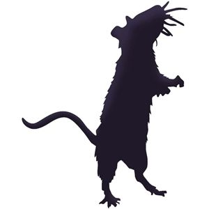 300x300 Silhouette Design Store Rat Silhouette Animals Are Awesome