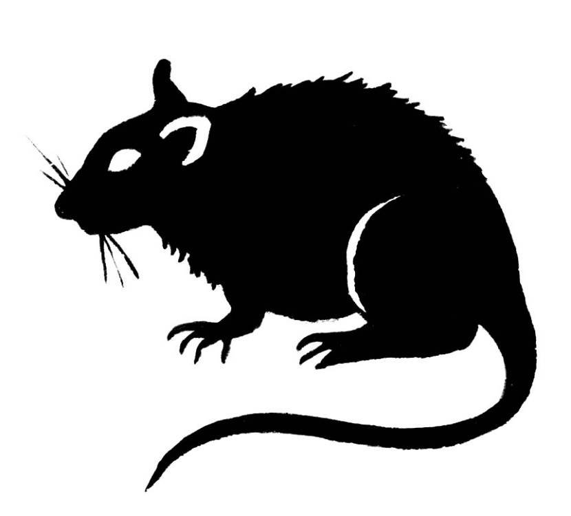 830x750 Top 80 Rat Clipart