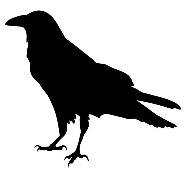 660x660 Raven Bird Silhouette
