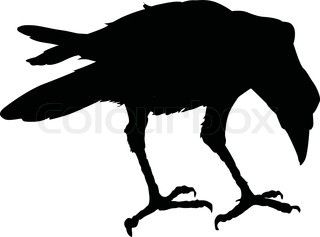 320x237 Raven pictures bird silhouette Silhouette Ravens On Tree