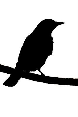 266x400 Raven Clipart Bird Shadow 3840684