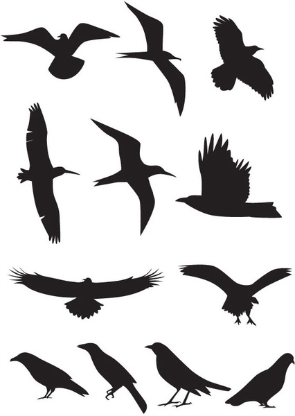 426x600 Bird Silhouette Free Vector Download (7,613 Free Vector)