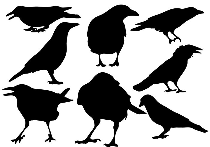 700x490 Free Raven Silhouette Vector 116532