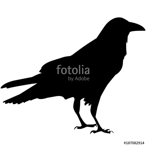 500x500 Raven Silhouette Vector Graphics Stock Image And Royalty Free