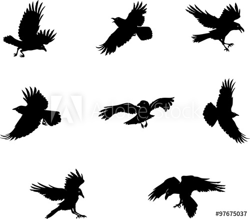 500x437 Crow, Raven, Flying, Vector, Silhouette, Image