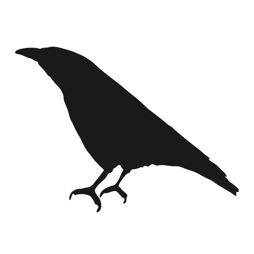 1042x1042 Free Raven Silhouette Clipart