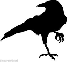 236x220 Raven Silouette Black Formal Ravens, Crows And Tattoo