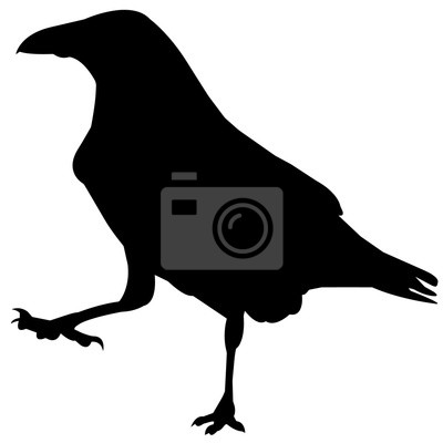 400x400 Raven Silhouette Vector Graphics Papier Peint Papiers Peints