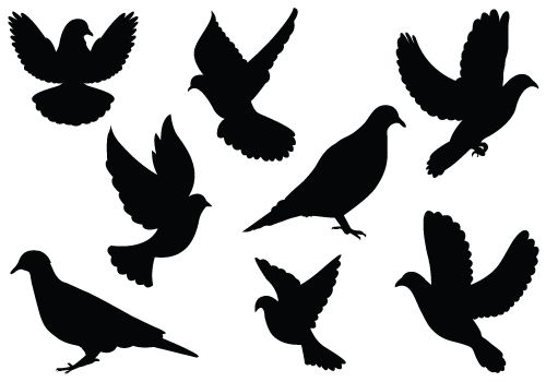 500x350 Dove Silhouette Vector Clipart