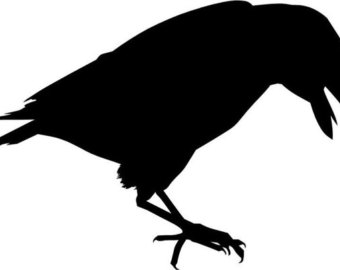 340x270 Raven Stickers Etsy