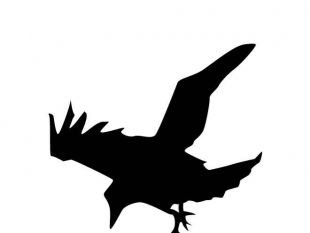 310x233 Raven Silhouette Free Vectors Ui Download