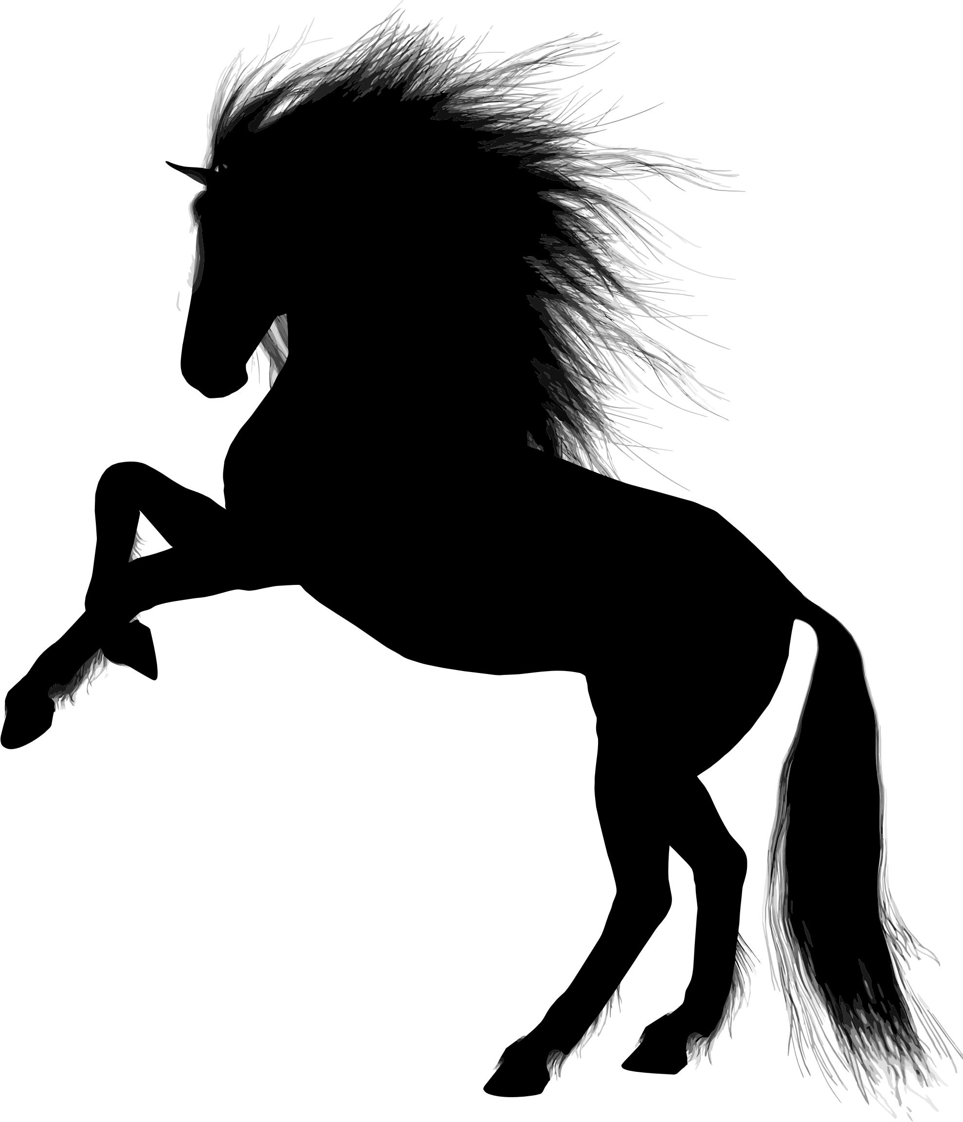 Rearing Horse Silhouette Images : 67 Ideas De Siluetas De Caballos ...